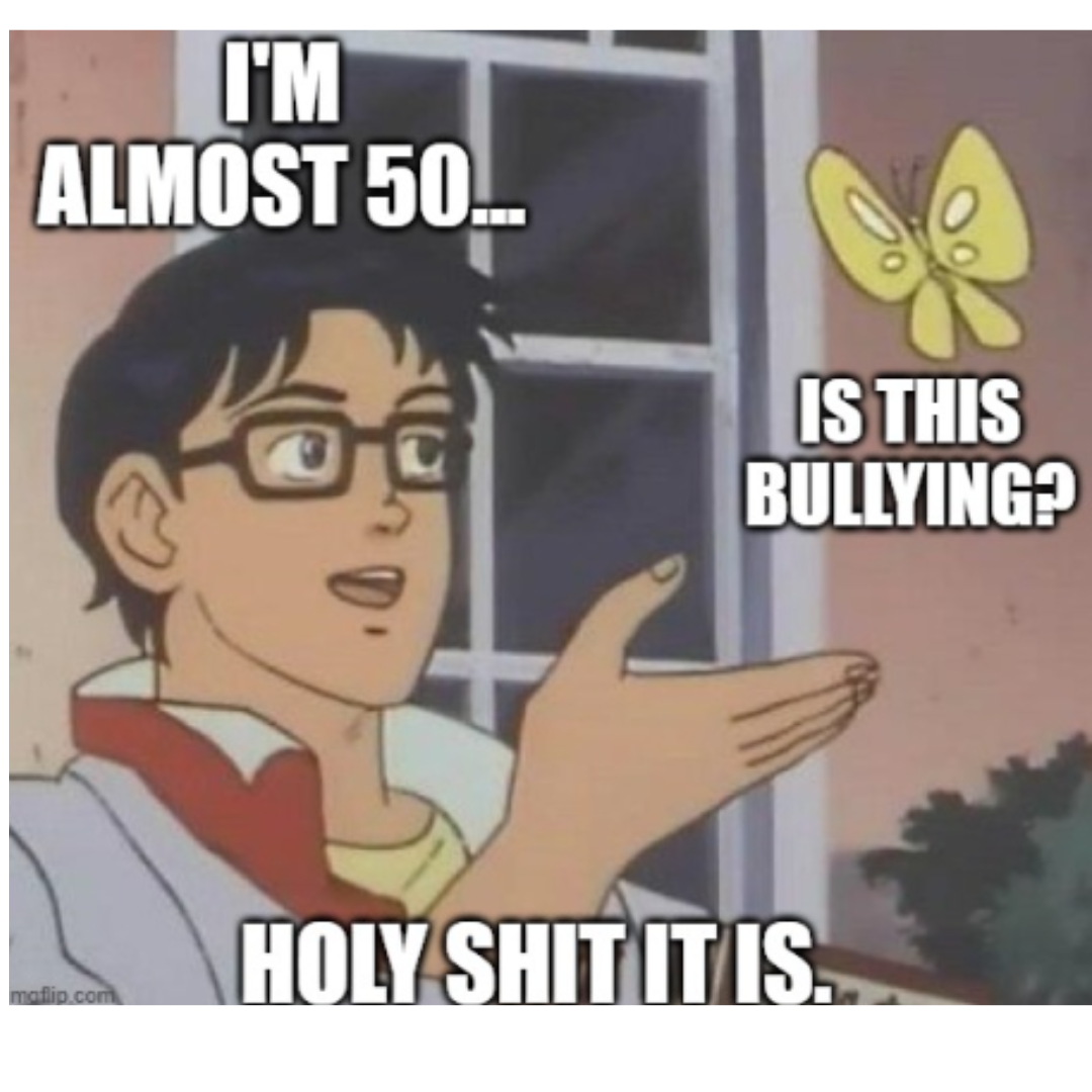 bullying butterfly meme